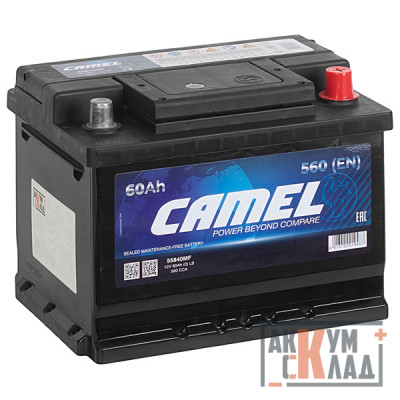 Аккумулятор CAMEL  55840MF 60Ah о.п. 600А 242*175*175 низкий