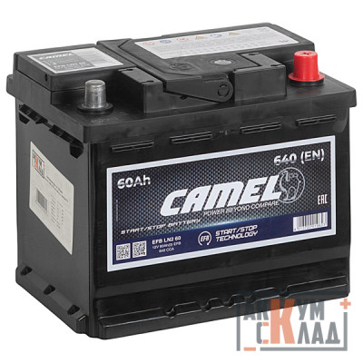 Аккумулятор CAMEL EFB LN2  60Ач о.п. 640А 242*175*190